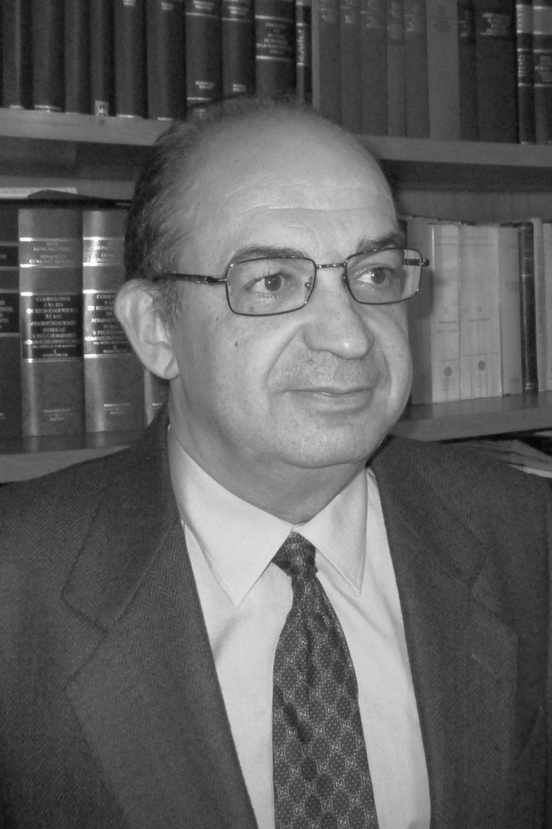 José-Leandro Martínez-Cardos Ruiz